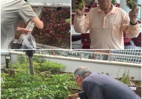 7인7색무지개밥상 '텃밭활동'