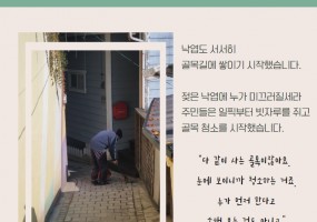 햇살골목 초록터의 가을