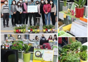 한국화원조합 화분 전달