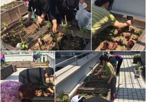 소소한 이야기 '소담' 텃밭동아리 진행