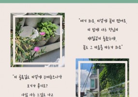 햇살골목 초록터의 여름