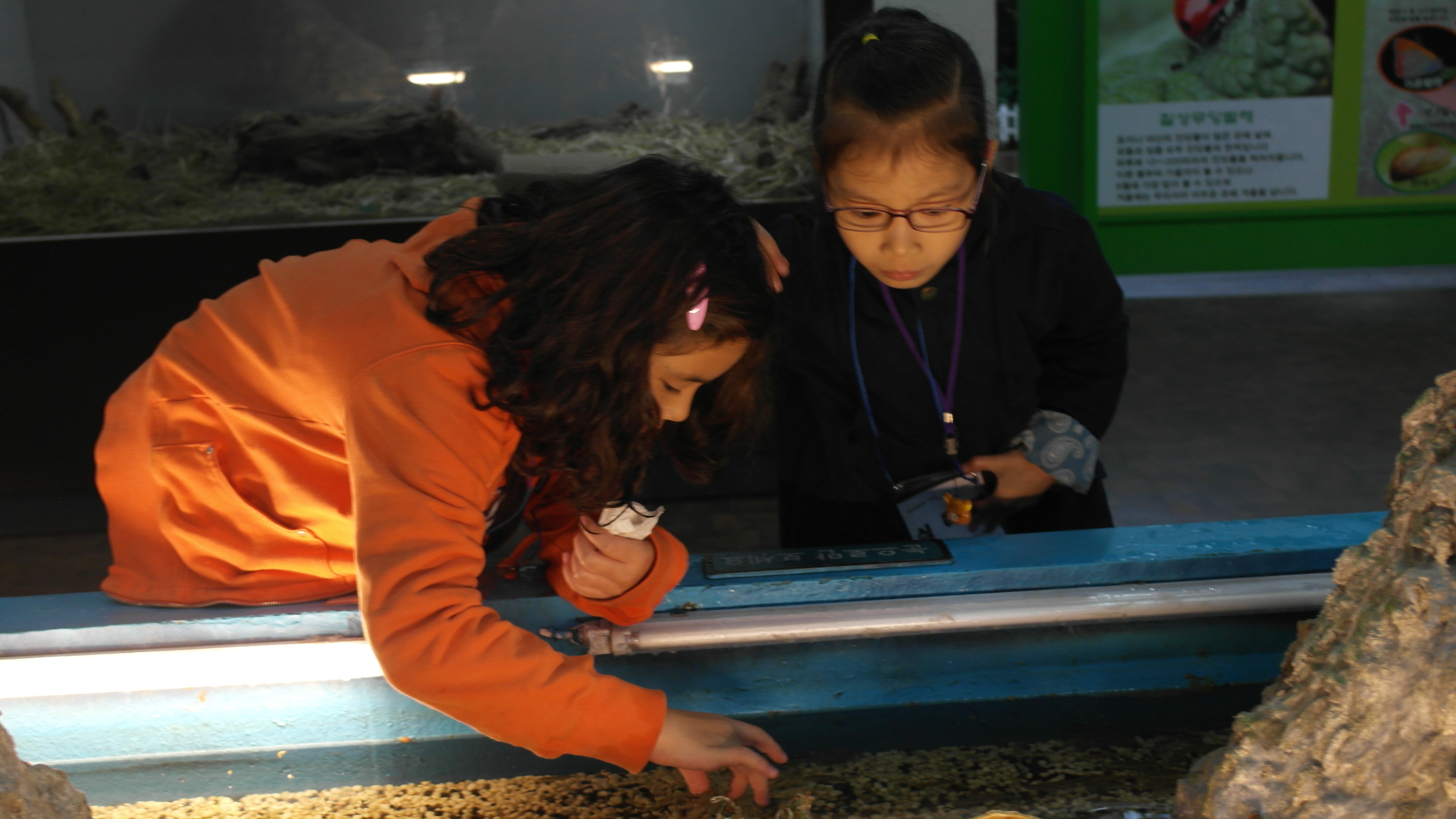 10월 토요프로그램