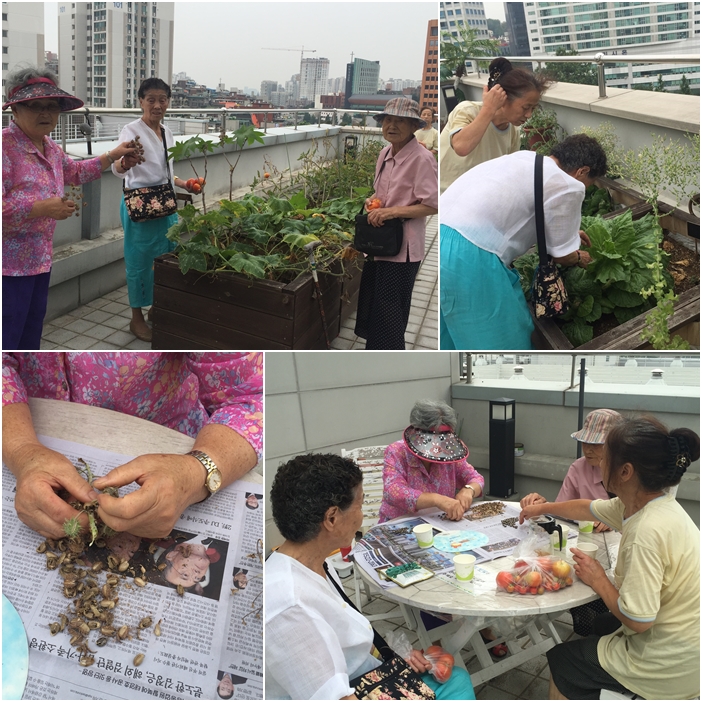 소소한 이야기 \'소담\' 텃밭동아리