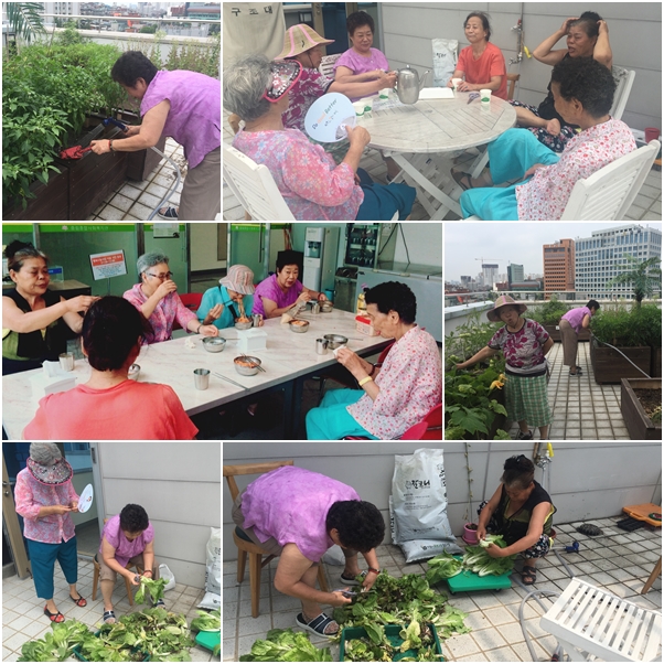 소소한 이야기 \'소담\' 텃밭동아리