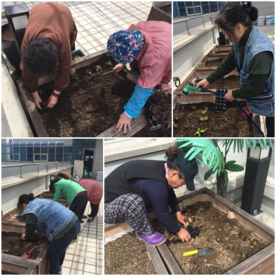 소소한 이야기 \'소담\' 텃밭동아리 1회차 모임