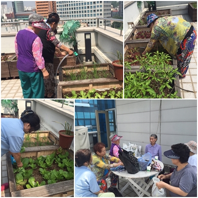 소담 텃밭동아리 활동